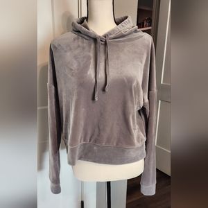 NWOT Kohls brand softest velour hoodie. Size Large. Gray color.